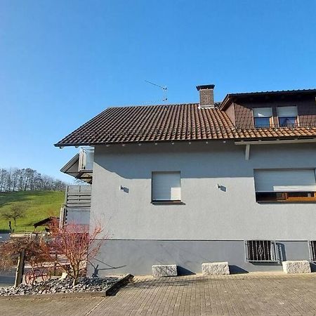 Grosse Tolle 4 Zimmer Ferienwohnung Im Herzen Des Odenwaldes Mörlenbach Екстериор снимка