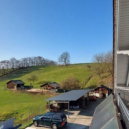 Grosse Tolle 4 Zimmer Ferienwohnung Im Herzen Des Odenwaldes Mörlenbach Екстериор снимка