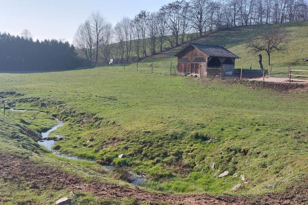 Grosse Tolle 4 Zimmer Ferienwohnung Im Herzen Des Odenwaldes Mörlenbach Екстериор снимка