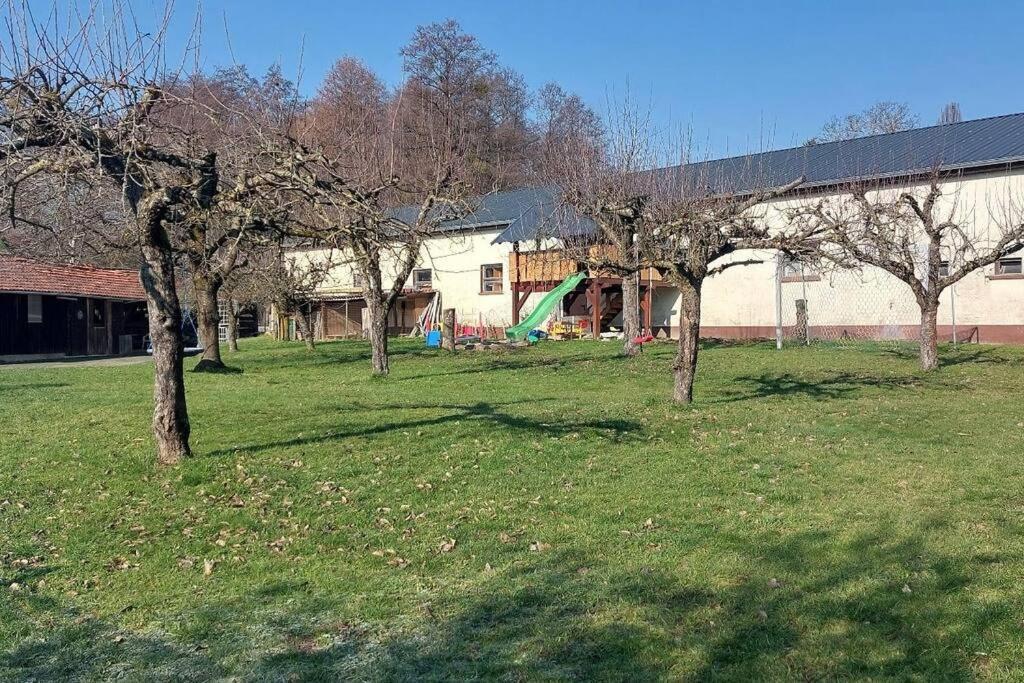 Grosse Tolle 4 Zimmer Ferienwohnung Im Herzen Des Odenwaldes Mörlenbach Екстериор снимка