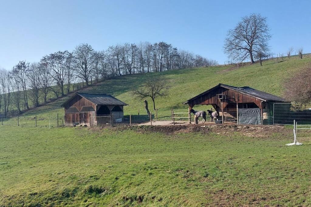 Grosse Tolle 4 Zimmer Ferienwohnung Im Herzen Des Odenwaldes Mörlenbach Екстериор снимка