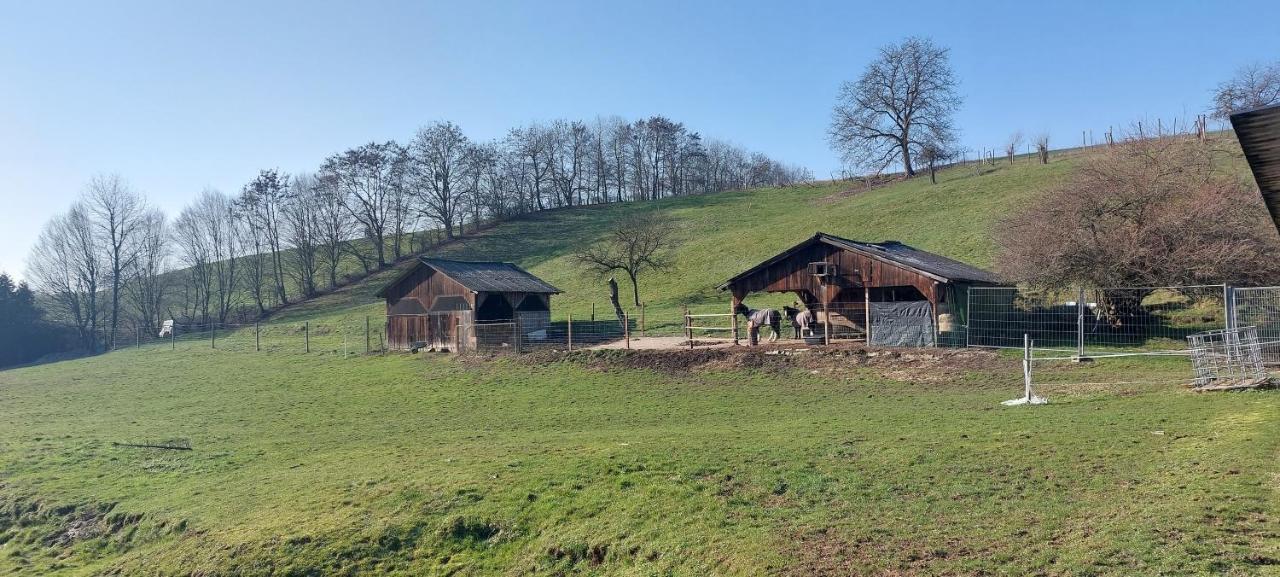 Grosse Tolle 4 Zimmer Ferienwohnung Im Herzen Des Odenwaldes Mörlenbach Екстериор снимка